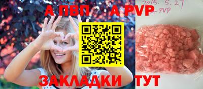 Альфа ПВП Малгобек