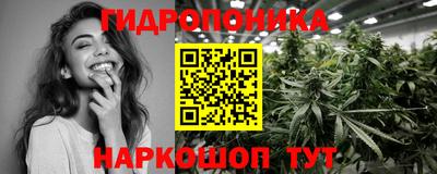 Альфа ПВП Малгобек