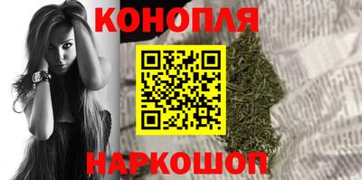 Альфа ПВП Малгобек